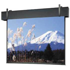 Da-Lite Professional Electrol 81633 - 210" diag.(123x164) - [4:3] - Matte White - 1.0 - [CUSTOM]