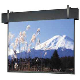 Da-Lite Professional Electrol 99777 - 159" diag.(78x139) - [16:9] - Matte White - 1.0 - [CUSTOM]