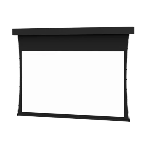 Da-Lite Professional Electrol Tensioned 35269 - 247" diag.(121x216) - [16:9] - HD Progressive ReView 0.9 - [CUSTOM] - Image 2