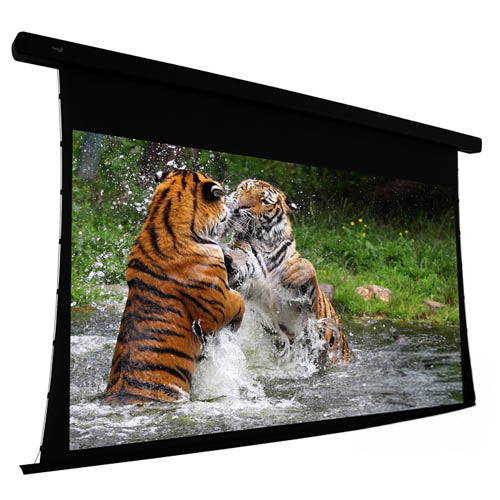 EluneVision 100" (49x87) 16:9 Reference Studio 4K Tab Tensioned 1.0 Gain Projector Screen