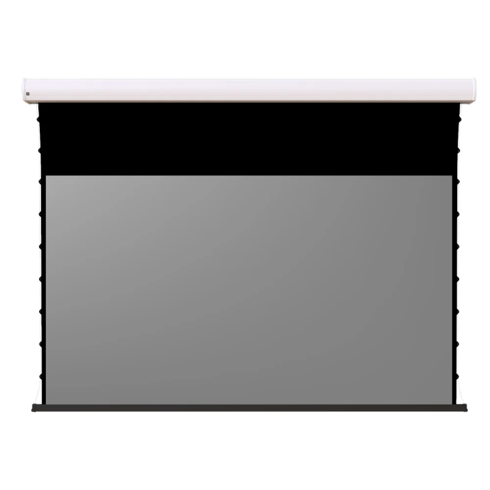 Screen Innovations Short Throw Motorized - 110" (54x96) - 16:9 - Short Throw - STMT110-110V